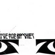 Il testo SKIN dei SIOUXSIE AND THE BANSHEES è presente anche nell'album Kaleidoscope (1980)