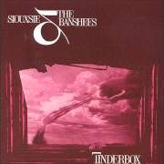 Il testo CANNONS dei SIOUXSIE AND THE BANSHEES è presente anche nell'album Tinderbox (1986)