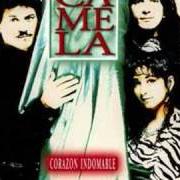 Il testo TE PIDO QUE LE DEJES dei CAMELA è presente anche nell'album Córazon indomable (1997)