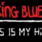 Il testo WE ARE WHAT WE OWN dei THE KING BLUES è presente anche nell'album Long live the struggle (2012)