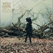 Il testo BACK TO BACK di WOLF GANG è presente anche nell'album Suego faults (2011)