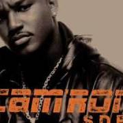 Il testo ALL THE CHICKENS di CAM'RON è presente anche nell'album S.D.E. (2000)