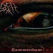 Il testo A STRANGE PRESENCE NEAR THE WOODS di CARACH ANGREN è presente anche nell'album Lammendam (2008)