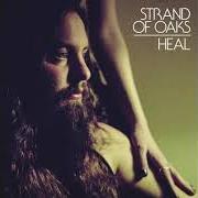 Il testo HEAL degli STRAND OF OAKS è presente anche nell'album Heal (2014)