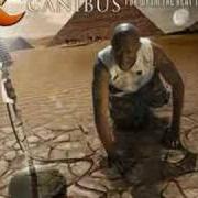 Il testo LAYERED PRAYERS di CANIBUS è presente anche nell'album For whom the beat tolls (2007)