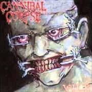 Il testo MUMMIFIED IN BARBED WIRE di CANNIBAL CORPSE è presente anche nell'album Vile (1996)