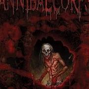 Il testo INTESTINAL CRANK di CANNIBAL CORPSE è presente anche nell'album Torture (2012)