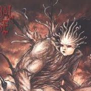 Il testo RAPED BY THE BEAST di CANNIBAL CORPSE è presente anche nell'album Bloodthirst (1999)