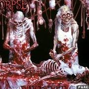 Il testo UNDER THE ROTTED FLESH di CANNIBAL CORPSE è presente anche nell'album Butchered at birth (1991)