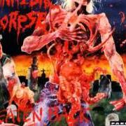 Il testo EDIBLE AUTOPSY di CANNIBAL CORPSE è presente anche nell'album Eaten back to life (1990)