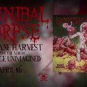 Il testo BOUND AND BURNED di CANNIBAL CORPSE è presente anche nell'album Violence unimagined (2021)