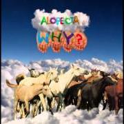 Il testo SONG OF THE SAD ASSASSIN dei WHY? è presente anche nell'album Alopecia (2008)