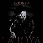 Il testo COLORES ALEGRES di ESPINOZA PAZ è presente anche nell'album La joya (2020)