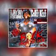 Il testo I DON'T LIKE di CHIEF KEEF è presente anche nell'album Back from the dead (2012)