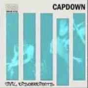 Il testo THE NEVERLUTION dei CAPDOWN è presente anche nell'album Civil disobedients (2000)