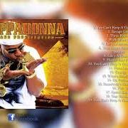 Il testo PAIN IS LOVE di CAPPADONNA è presente anche nell'album The struggle (2003)