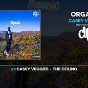 Il testo MIRAGE di CASEY VEGGIES è presente anche nell'album Organic (2019)