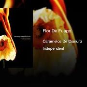 Il testo COMO SERPIENTE dei CARAMELOS DE CIANURO è presente anche nell'album Flor de fuego (2006)