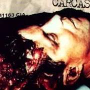Il testo EVER INCREASING CIRCLES dei CARCASS è presente anche nell'album Wake up and smell the... carcass (1996)