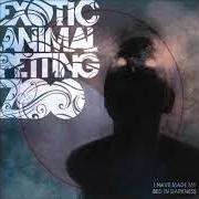 Il testo MOONSHOES degli EXOTIC ANIMAL PETTING ZOO è presente anche nell'album I have made my bed in darkness (2008)