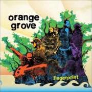 Il testo FEEL THAT FIRE degli ORANGE GROVE è presente anche nell'album Fingerprint (2009)
