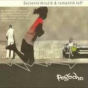 Il testo DMDC dei POGODNO è presente anche nell'album Sejtenik miuzik (2001)