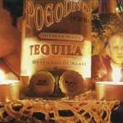 Il testo ENADER GERL/ODCINEK 13 dei POGODNO è presente anche nell'album Tequila (2003)