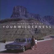 Your wilderness