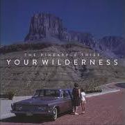 Il testo WHERE WE STOOD dei THE PINEAPPLE THIEF è presente anche nell'album Your wilderness (2016)