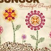 Il testo WE WILL RUN dei GUNGOR è presente anche nell'album Beautiful things (2010)