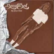 Il testo THE MAYFLY AND THE LIGHT di BREAKBOT è presente anche nell'album By your side (2012)