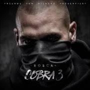 Il testo LAUSCH MEINER STIMME di BOSCA è presente anche nell'album Cobra 3 (2017)