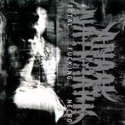 Il testo ICEBLASTING STORMWINDS degli ANAAL NATHRAKH è presente anche nell'album Anaal nathrakh - demo (1999)