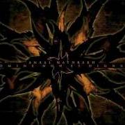 Il testo TO ERR IS HUMAN, TO DREAM - FUTILE degli ANAAL NATHRAKH è presente anche nell'album Domine non es dignus (2004)