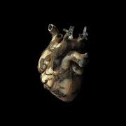 Il testo HAIL OF BULLETS di HIGHASAKITE è presente anche nell'album Uranium heart (2019)