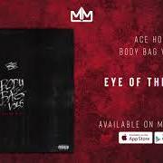 Il testo COUNT ON di ACE HOOD è presente anche nell'album Body bag 5 (2020)
