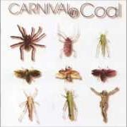 Il testo RING MY BELL dei CARNIVAL IN COAL è presente anche nell'album Fear not (2001)