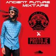 Il testo WHO KNOWS di PROTOJE è presente anche nell'album Ancient future (2015)