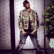 The rose experience The rose experience