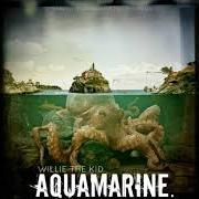 Il testo WINNER'S CIRCLE dei WILLIE THE KID è presente anche nell'album Aquamarine (2013)