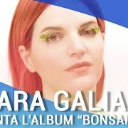 Il testo KAMIKAZE di CHIARA GALIAZZO è presente anche nell'album Bonsai (come fare le cose grandi in piccolo) (2020)