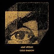 Il testo GOLD SHADOW di ASAF AVIDAN è presente anche nell'album Gold shadow (2015)