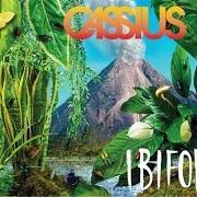 Il testo FEEL LIKE ME di CASSIUS è presente anche nell'album Ibifornia (2016)