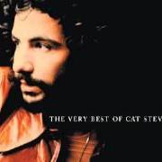 Il testo WILD WORLD di CAT STEVENS è presente anche nell'album Saturnight (1974)