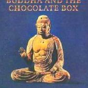 Il testo HOME IN THE SKY di CAT STEVENS è presente anche nell'album Buddha and the chocolate box (1974)