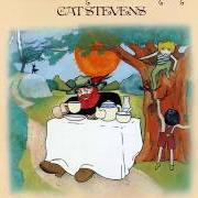 Il testo INTO WHITE di CAT STEVENS è presente anche nell'album Tea for the tillerman (1970)