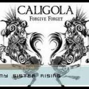 Il testo ANGEL ICE di CALIGOLA è presente anche nell'album Back to earth (2012)