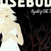 Il testo SILJA LINE di THE ROSEBUDS è presente anche nell'album Night of the furies (2007)