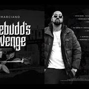 Il testo HERE I AM di ROC MARCIANO è presente anche nell'album Rosebudd's revenge (2017)