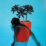 Il testo SEA OF YEARS dei LOCAL NATIVES è presente anche nell'album Sunlit youth (2016)